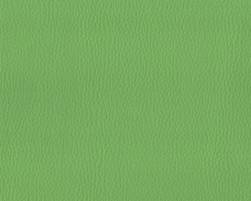 Зеленый кожзам ECO 822