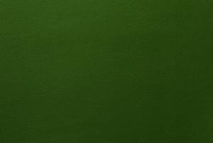 Зеленый кожзам SAPPO